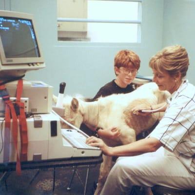 Instructed ultrasound at the UC Davis School of Veterinary Medicine for many years.