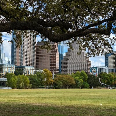 Field and city view