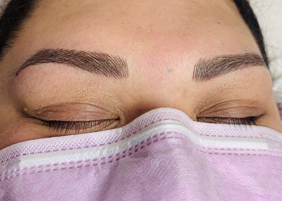 Post 3D microbladed brows