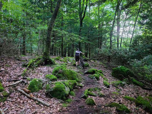 Valley Falls State Park