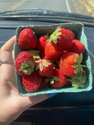 Strawberries!