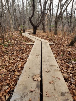 The appalachin and long trail run through the property