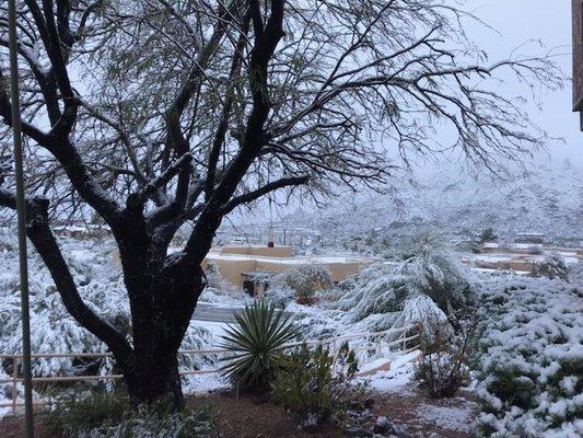 Snow in Scottsdale