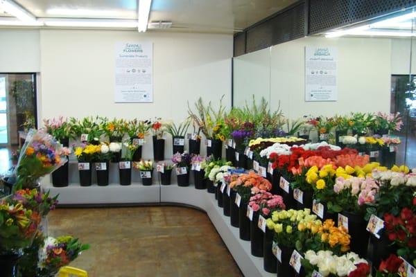 Want to get creative and arrange your own flowers? Well, with our selection - you can make that happen!