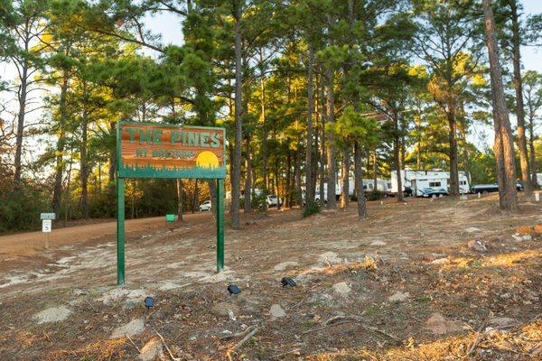 The Pines at Bastrop RV Park Entrance