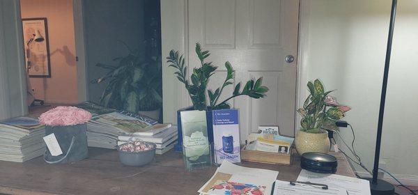 Lounge area. Very comfy space. Love all the plants.