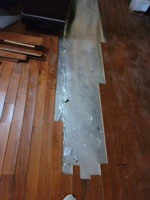 Hardwood flooring. Falling apart