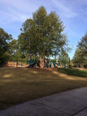 Shady and Sunny  playground.