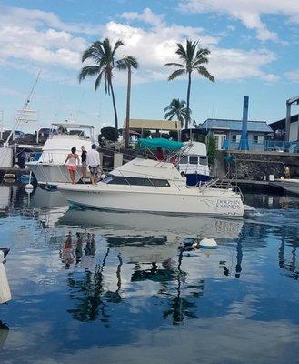 Dolphin TLC - 6 passengers. New Engine in May 2017! She is purring..... Dolphins love the sound of the new engine!