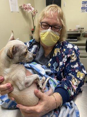 Foster pup and Dr Lawrence.  He had a bland rash and she figured problem quick and helped him and he's a happy pup soon to be adopted.