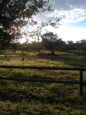 The morning view at the Arivaca Action Center.