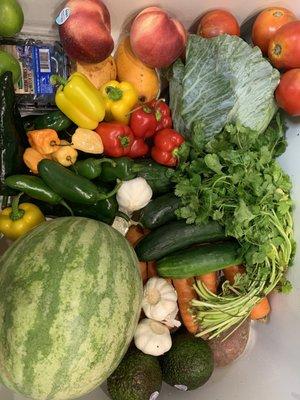 A sink full of produce this week!