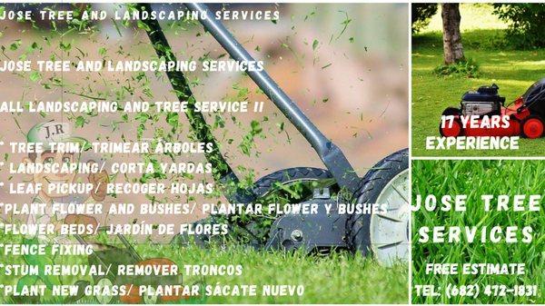 Jose Tree Service Landscaping