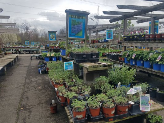 Wayside Garden Center