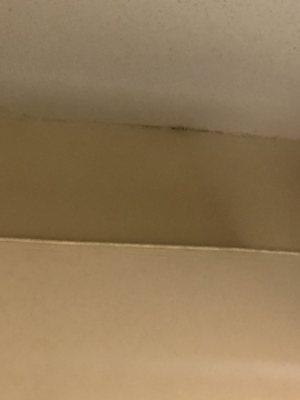 Black mold above curtains in bedroom.