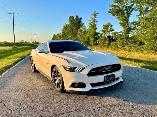 2015 Mustang 5.0 50th anniversary edition