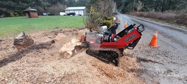 During stump grinding