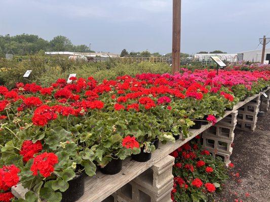 Hinsdale Nurseries Inc