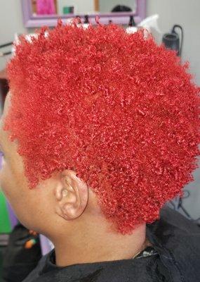 Color & finger coils