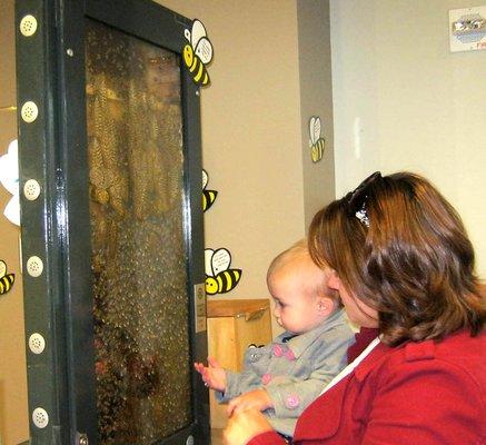 Medina Library's Bee Festival, held in mid July, is a celebration of Medina's bee culture!