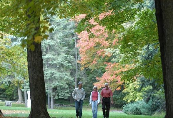 A peaceful walk in the backyard with friends.