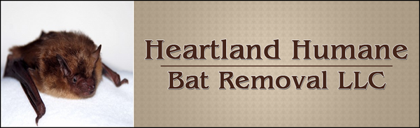 Heartland Humane Bat Removal LLC with a bat next to it