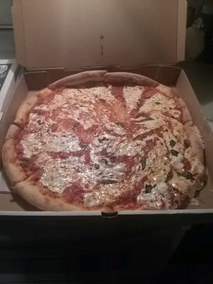 This is the pizza I had delivered this evening.