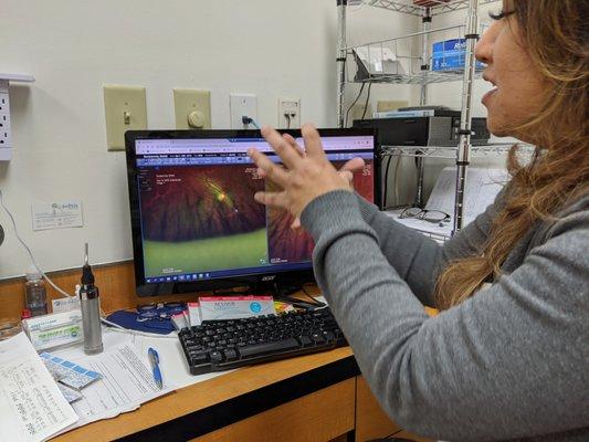 Dr. Raharja explaining the retinal images her staff took of the backs of my eyeballs.