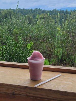 Blueberry slushie