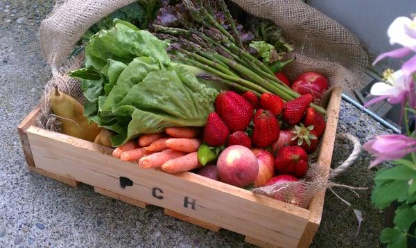 Pacific Coast Harvest