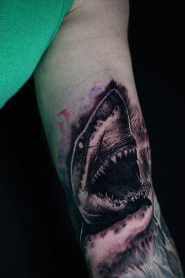 A spooky shark done by Phil Knowles