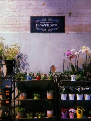 flower shop.