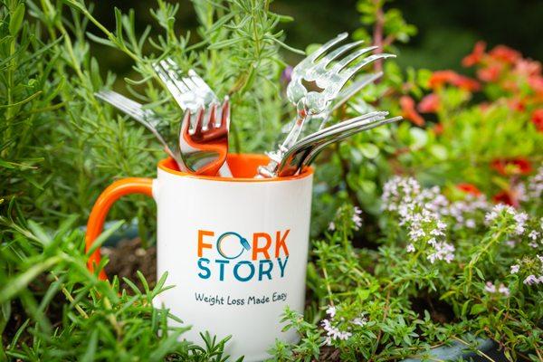 Fork Story