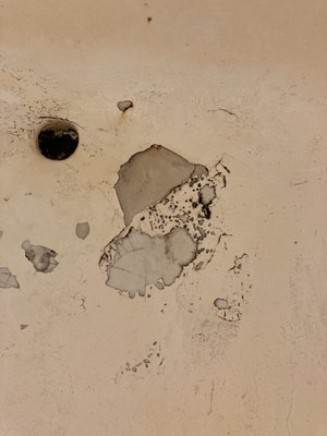 Black mold in peeling tub