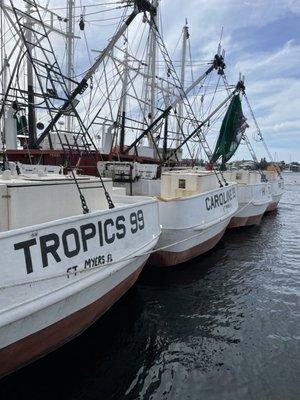 Shrimp boats