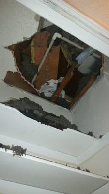 Ceiling caved in due to a bad roof. It's been constantly leaking for days.