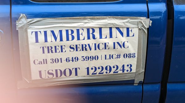 Timberline Tree Service