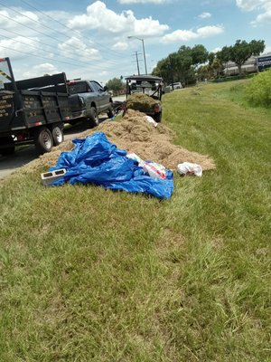 Cleaning up debris/ grass clippings; from overgrowth of a pond area.