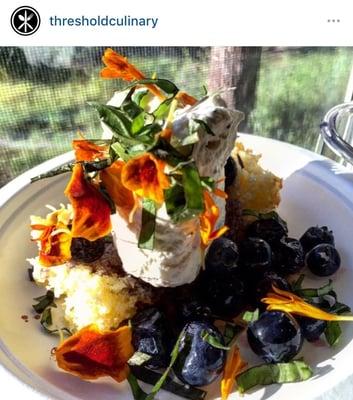 Blueberry "shortcake". Gin syrup macerated blueberries on cornbread w/ lemon-poppyseed organic whip cream, basil, and edible flowers.