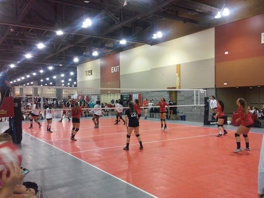 Phoenix Volleyball Festival