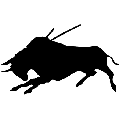 Black Bull Financial Services