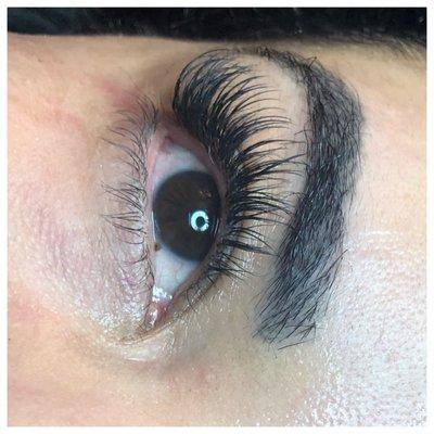 Eyelash Extensions