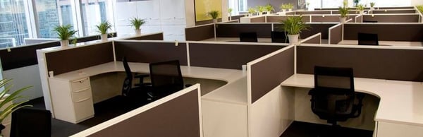 Office cubicle areas daily cleaning and maintenance