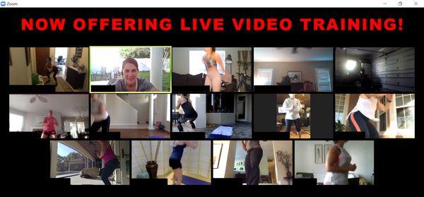 LIVE Online video training sessions