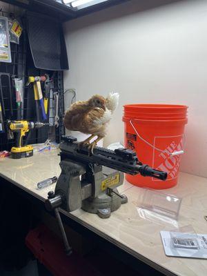 Newest gunsmith hire