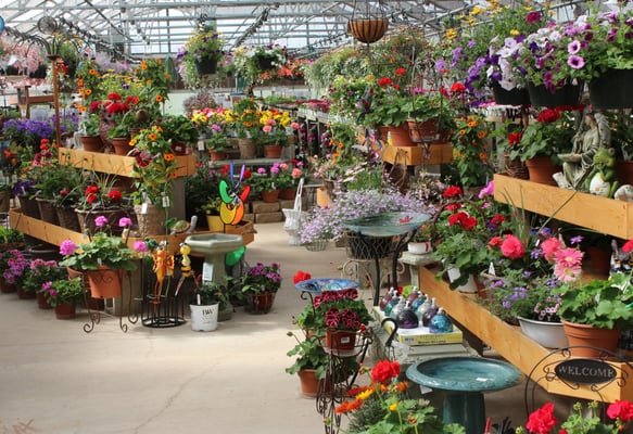 Our Garden Center is a must see.  All annuals, perennials, shrubs, hanging baskets, custom containers are all grown right here.