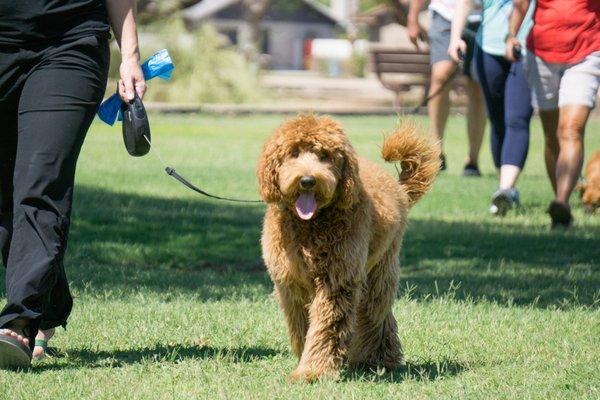 Group classes are held in local parks