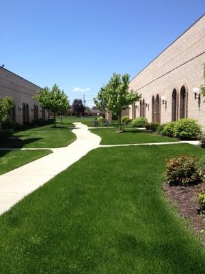 View from the front door - beautifully landscaped walkway to all the businesses