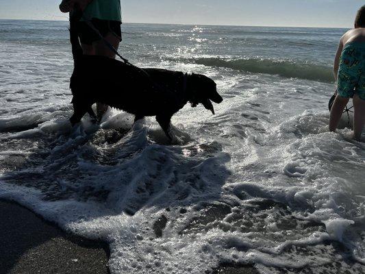 Playing in the surf