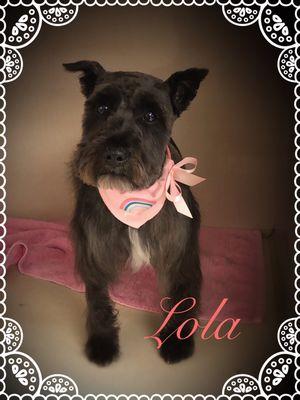 Lovable Lola came in for a luxurious spa day.